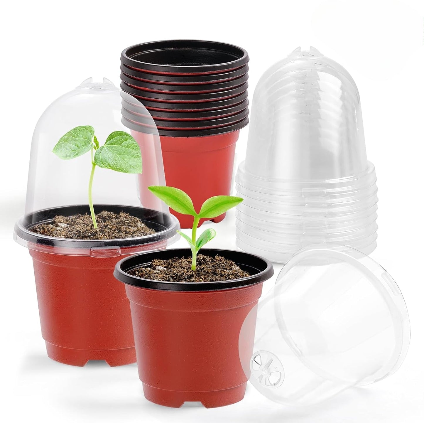 Nursery Pots for Plants